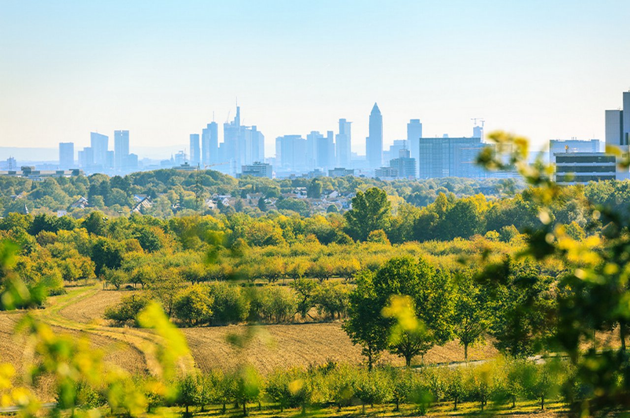 Grüneburgpark in Frankfurt